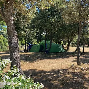  Camping Sugar