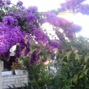 Branka , Rab Town Croatia